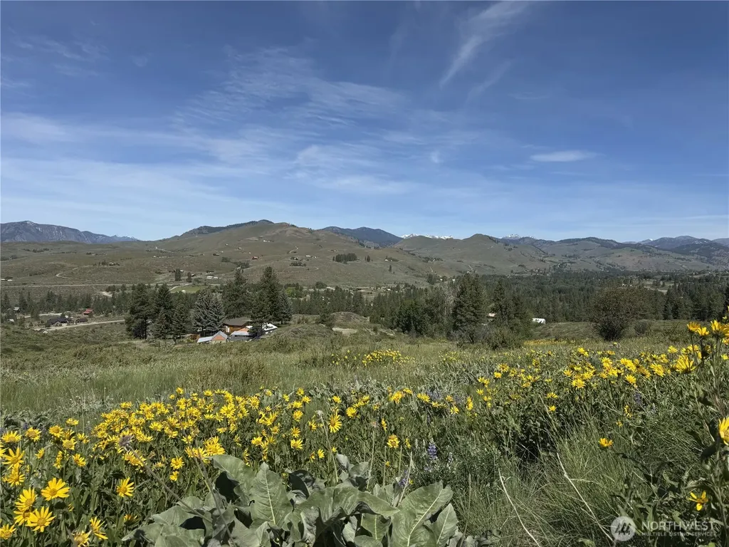 62 Bella Vista Lane Winthrop WA 98862