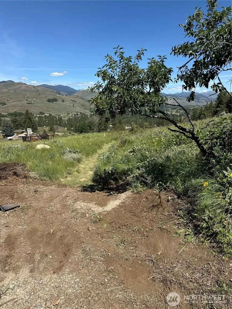 62 Bella Vista Lane Winthrop WA 98862