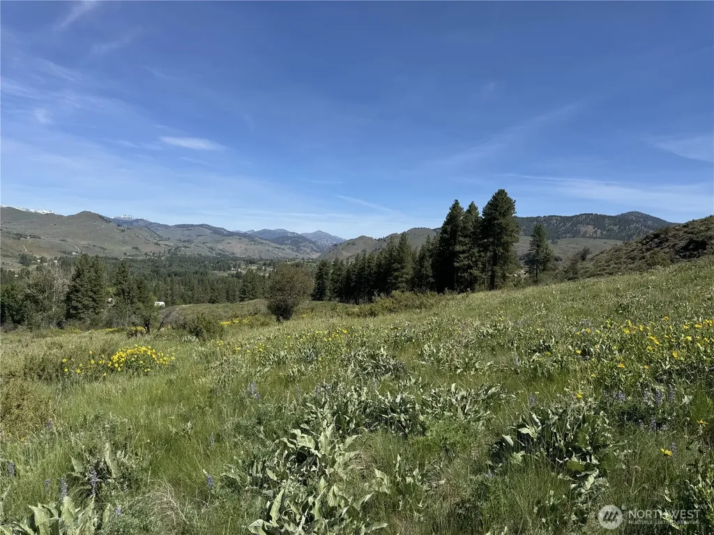 62 Bella Vista Lane Winthrop WA 98862