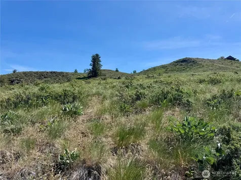 62 Bella Vista Lane Winthrop WA 98862