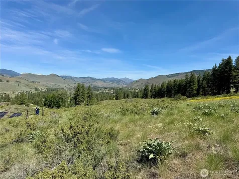 62 Bella Vista Lane Winthrop WA 98862
