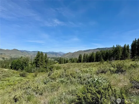 62 Bella Vista Lane Winthrop WA 98862