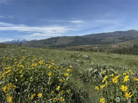 62 Bella Vista Lane Winthrop WA 98862