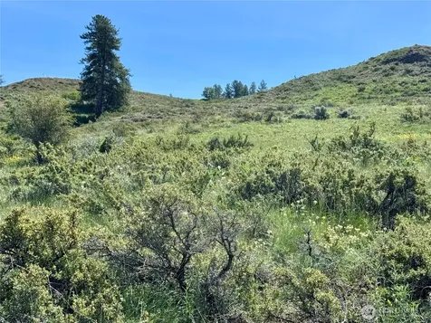 62 Bella Vista Lane Winthrop WA 98862