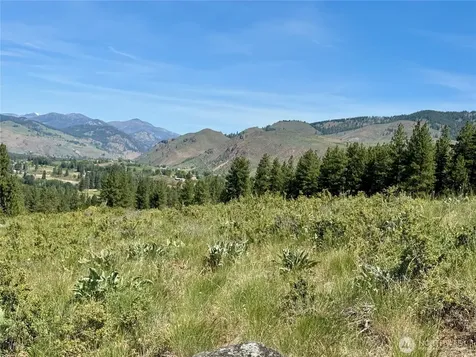 62 Bella Vista Lane Winthrop WA 98862