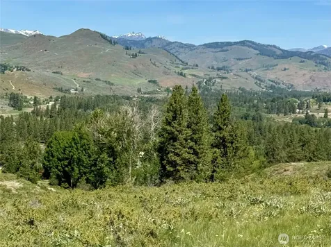 62 Bella Vista Lane Winthrop WA 98862