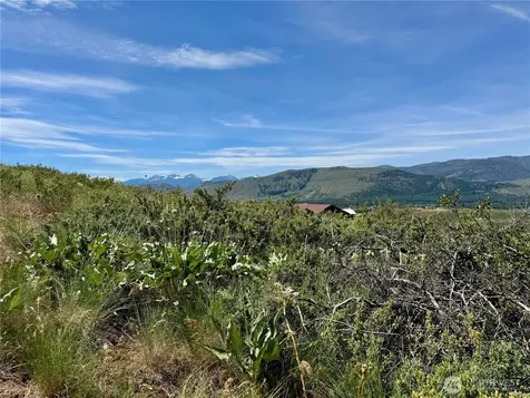 62 Bella Vista Lane Winthrop WA 98862