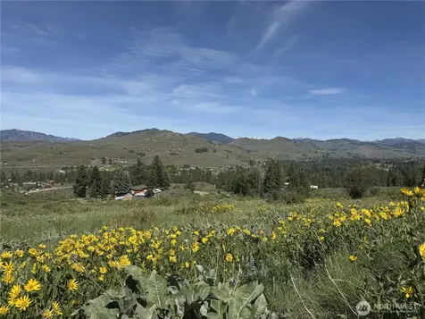 62 Bella Vista Lane Winthrop WA 98862