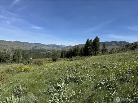 62 Bella Vista Lane Winthrop WA 98862