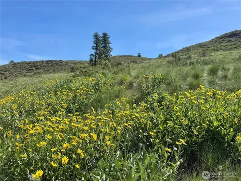 62 Bella Vista Lane Winthrop WA 98862