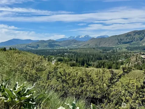 62 Bella Vista Lane Winthrop WA 98862