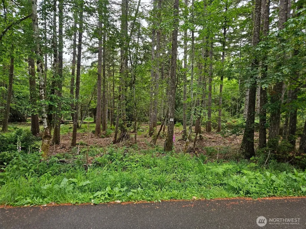 870 E Wilson Way Grapeview WA 98546