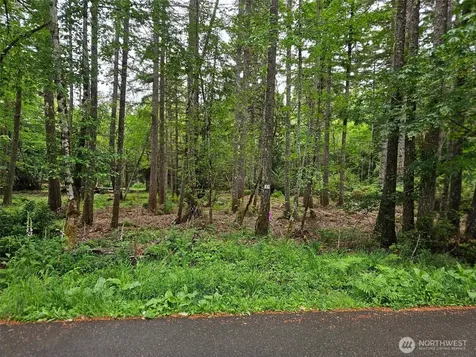 870 E Wilson Way Grapeview WA 98546