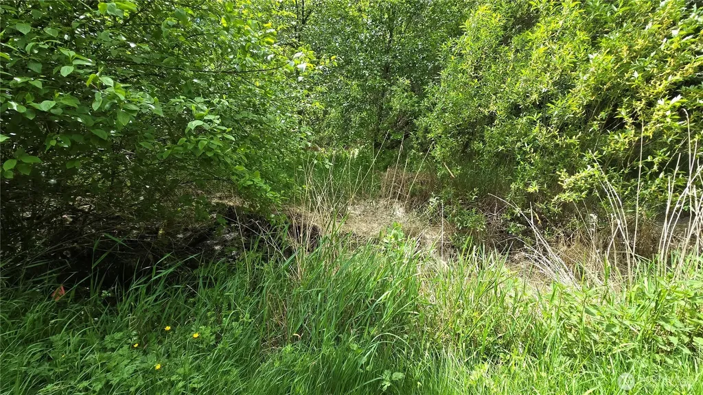 715 N Bagley Creek Road Port Angeles WA 98362