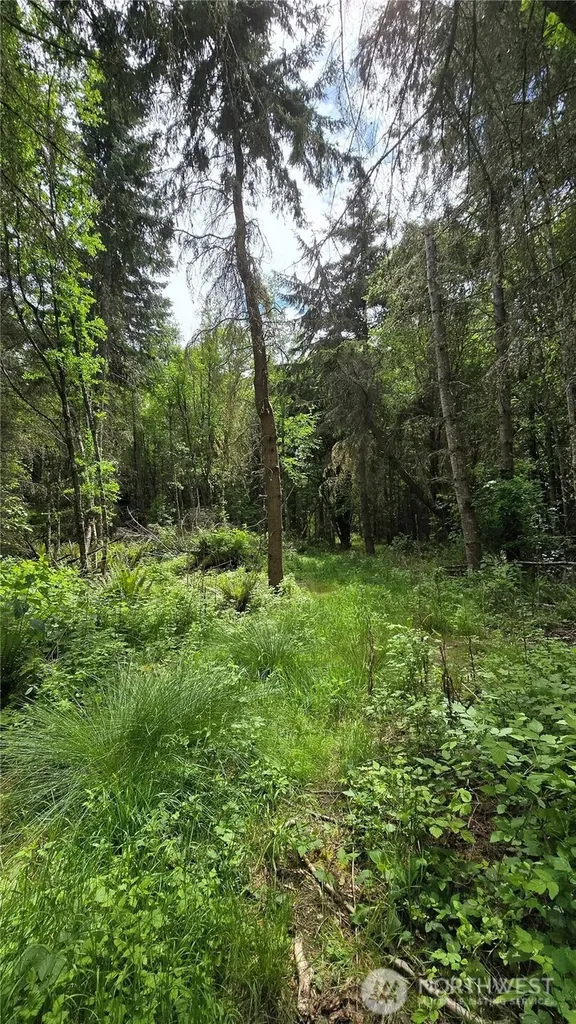 715 N Bagley Creek Road Port Angeles WA 98362