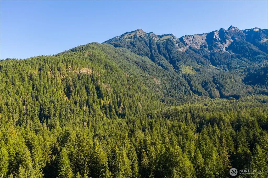 7138 Rainier Way Glacier WA 98244