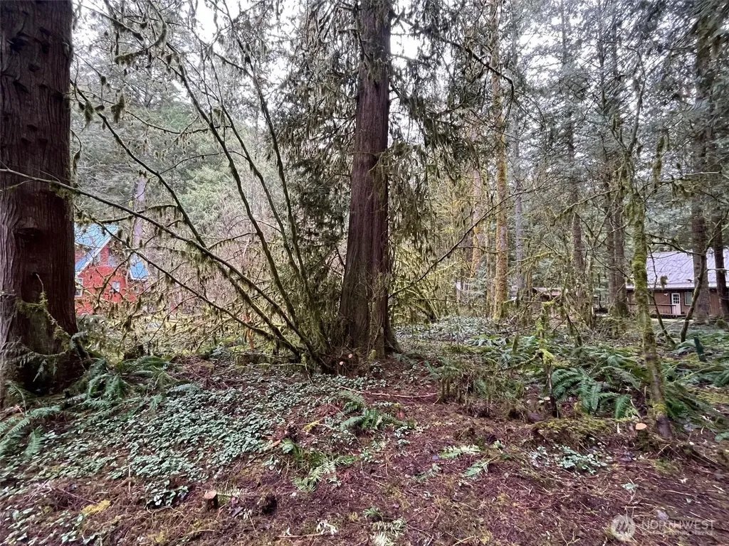 7138 Rainier Way Glacier WA 98244