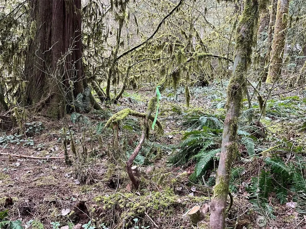 7138 Rainier Way Glacier WA 98244