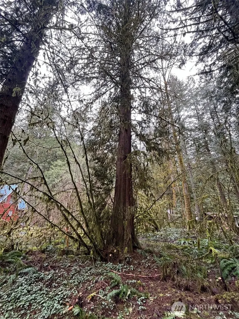 7138 Rainier Way Glacier WA 98244