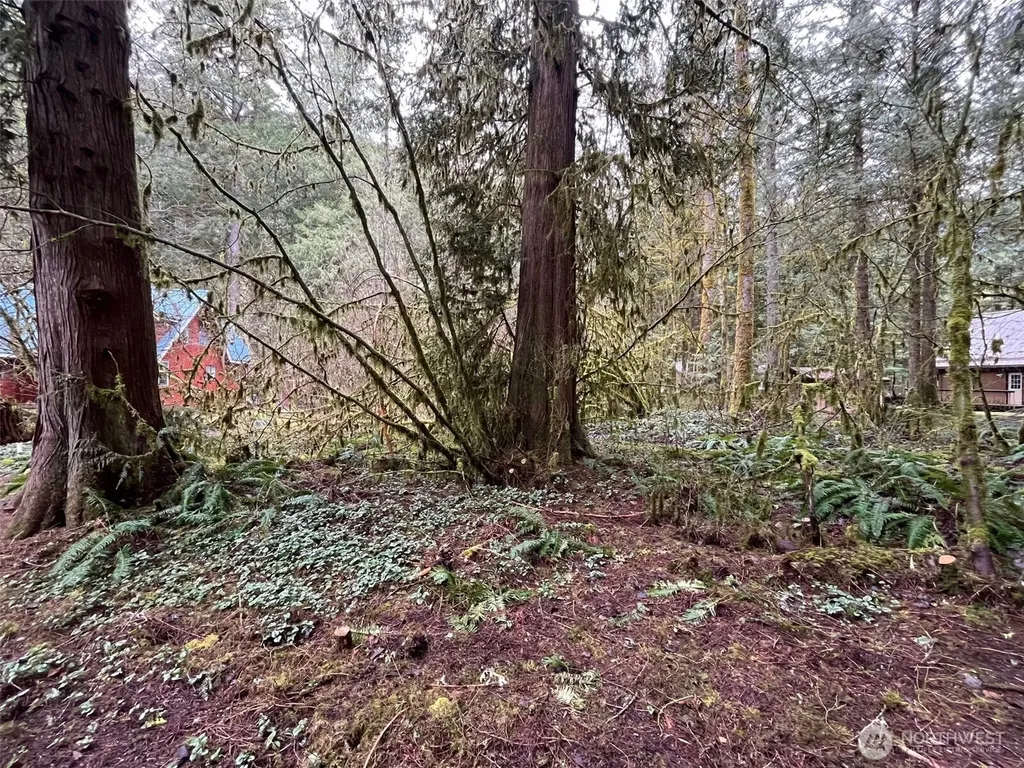 7138 Rainier Way Glacier WA 98244