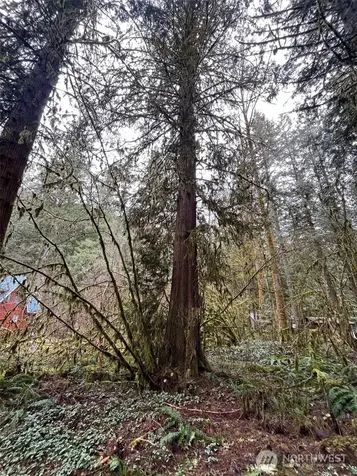 7138 Rainier Way Glacier WA 98244