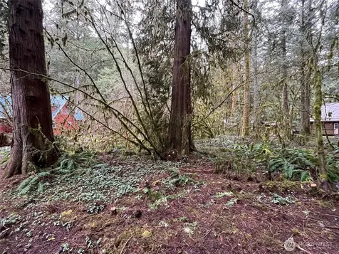 7138 Rainier Way Glacier WA 98244
