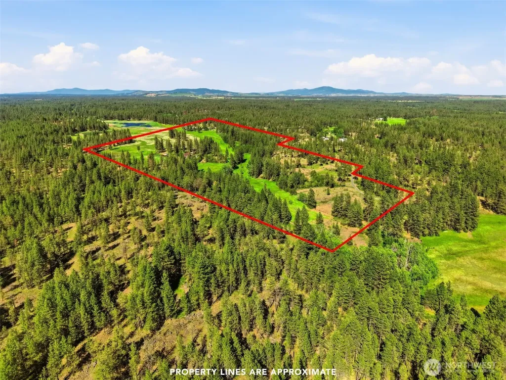 21818 S Frog Hollow Lane Cheney WA 99004
