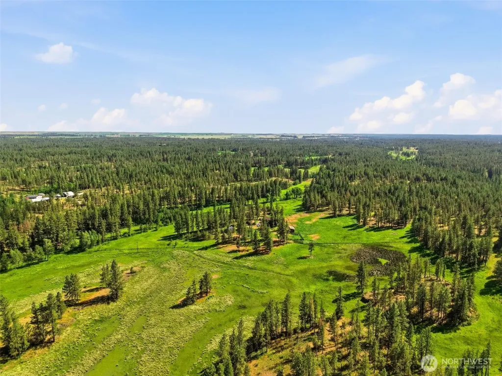 21818 S Frog Hollow Lane Cheney WA 99004