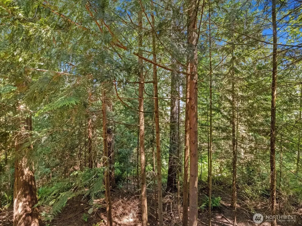 17116 Gravenstein Road Bothell WA 98012