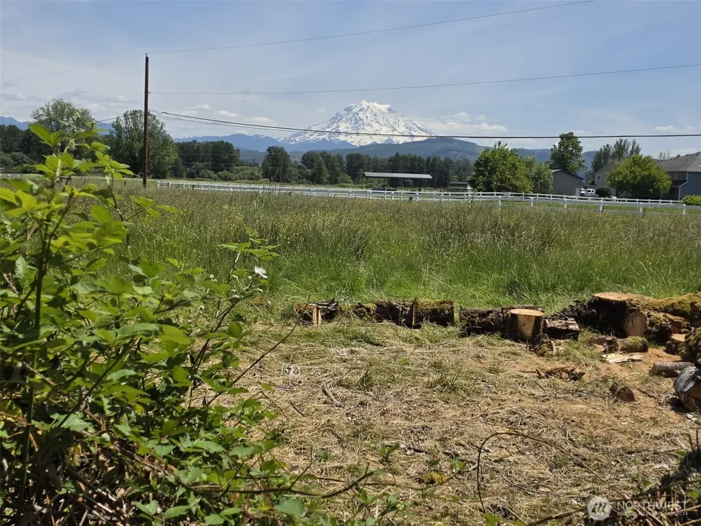 14717 168th Street E Orting WA 98360