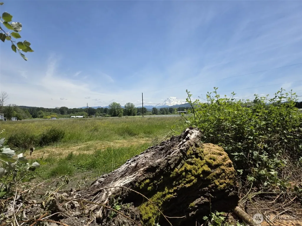 14717 168th Street E Orting WA 98360