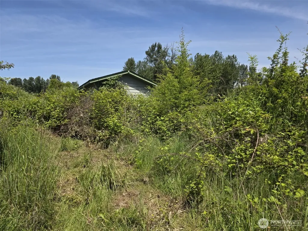 14717 168th Street E Orting WA 98360