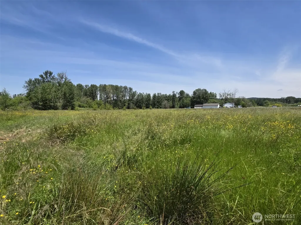 14717 168th Street E Orting WA 98360