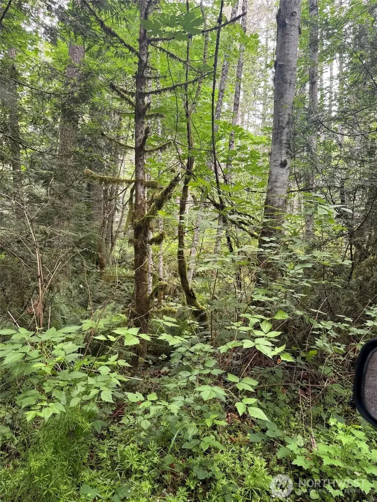 0 Widme Road NE Poulsbo WA 98370