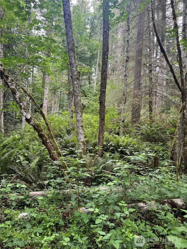 0 Widme Road NE Poulsbo WA 98370