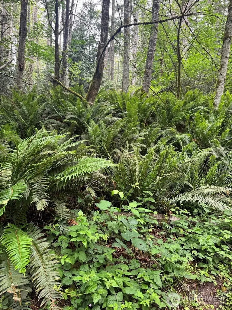 0 Widme Road NE Poulsbo WA 98370