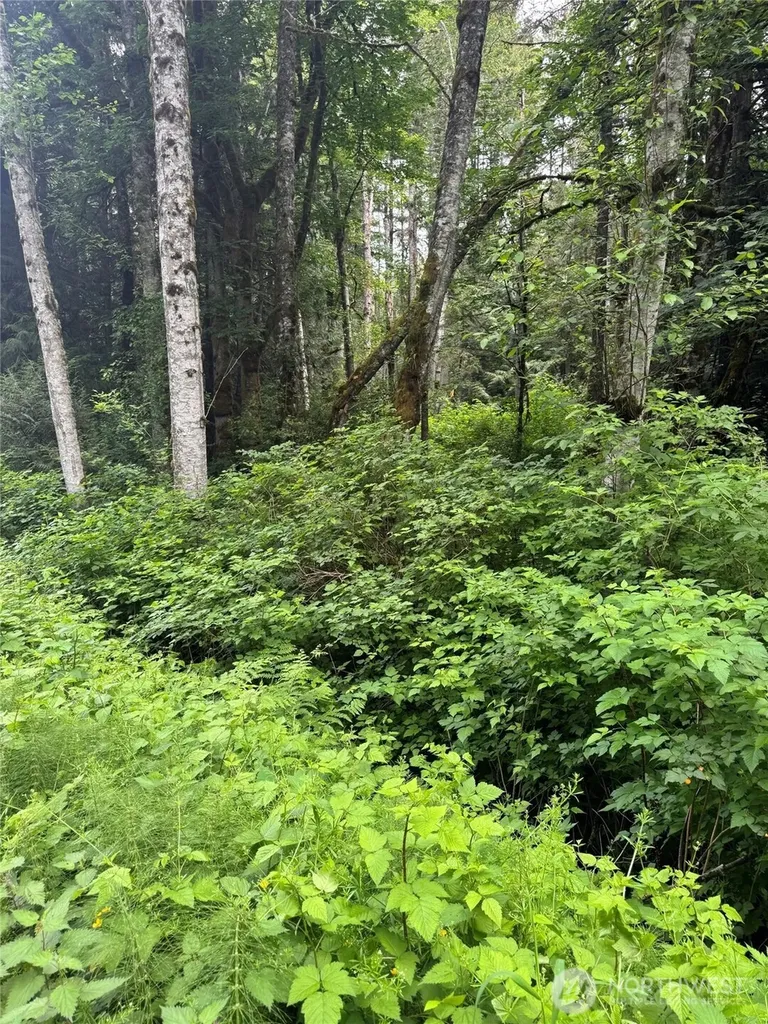 0 Widme Road NE Poulsbo WA 98370