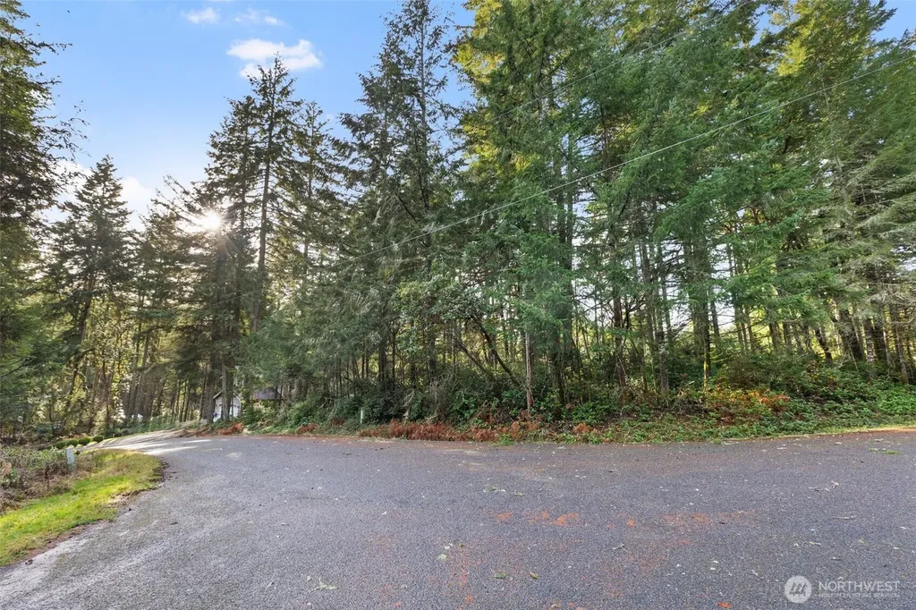 10510 Olympic Place Anderson Island WA 98303