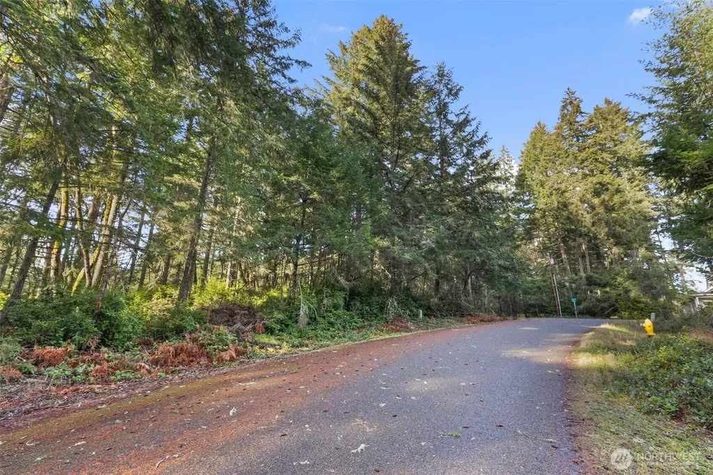 10510 Olympic Place Anderson Island WA 98303