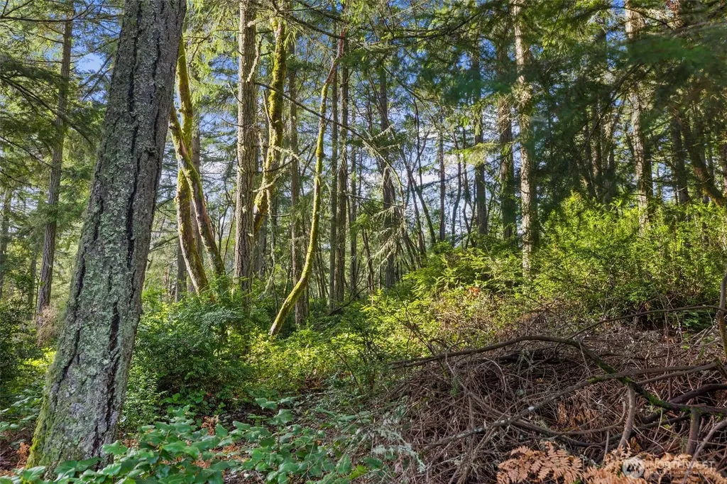 10510 Olympic Place Anderson Island WA 98303