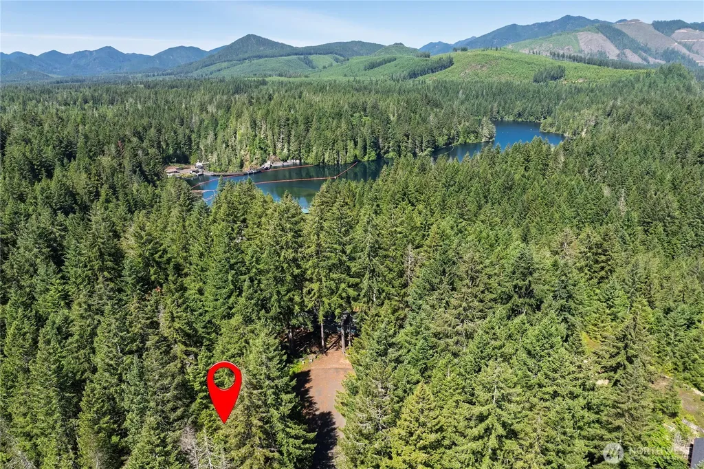11 N Olympic Court N Hoodsport WA 98548