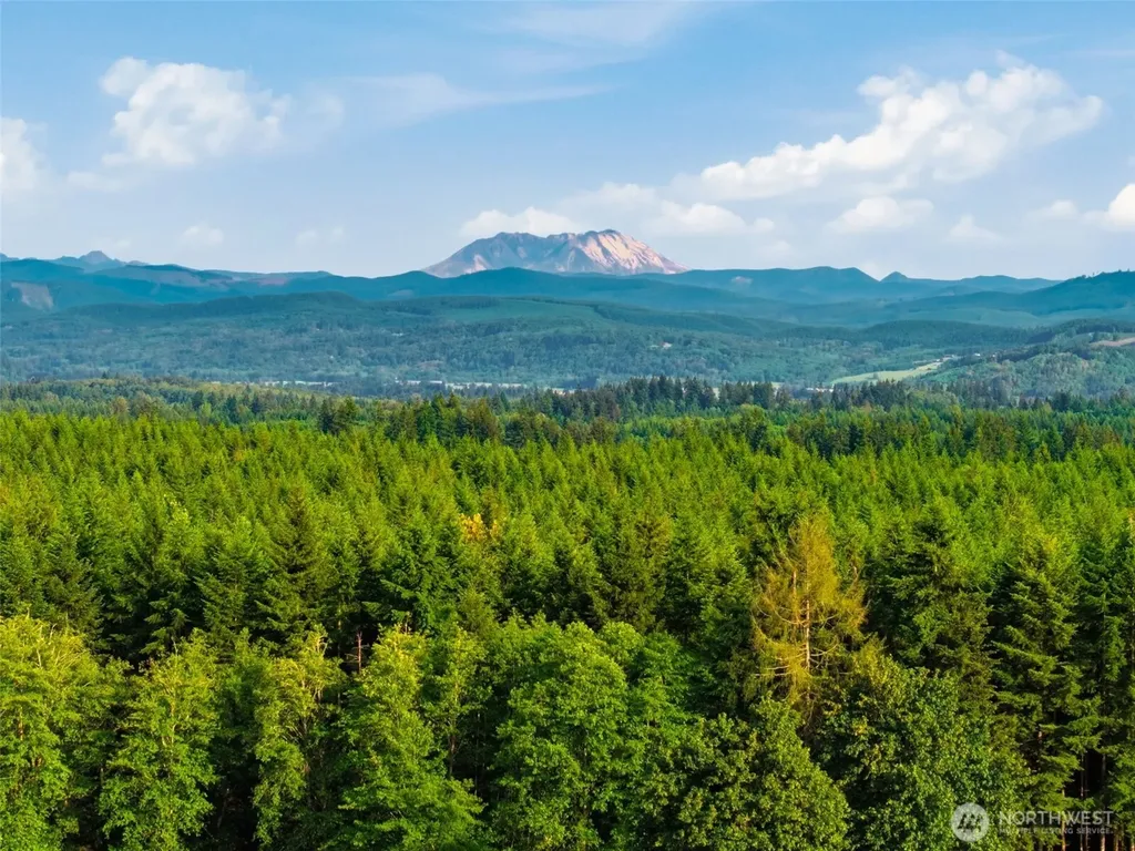 1058 Burnt Ridge Road Onalaska WA 98570