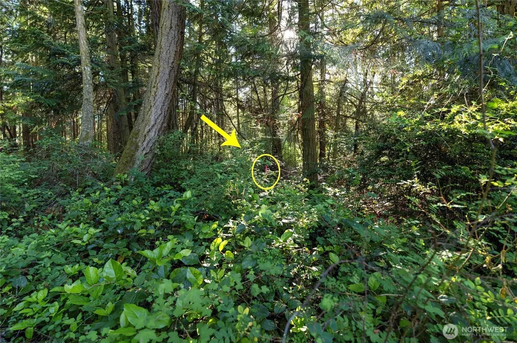0 Lots 3&4 Grant Street Port Townsend WA 98368