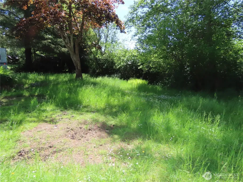 1047 Pine Street Grayland WA 98547