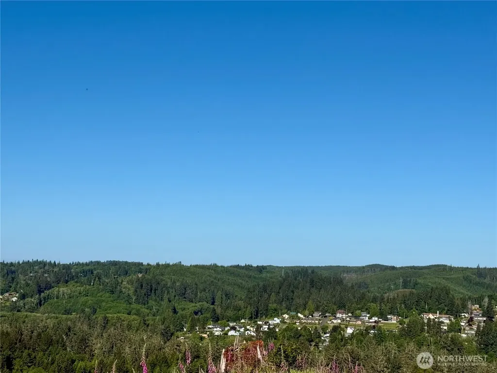20 E Wishkah Road Aberdeen WA 98520