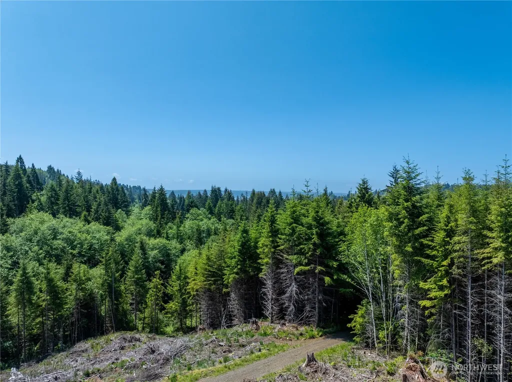 20 E Wishkah Road Aberdeen WA 98520