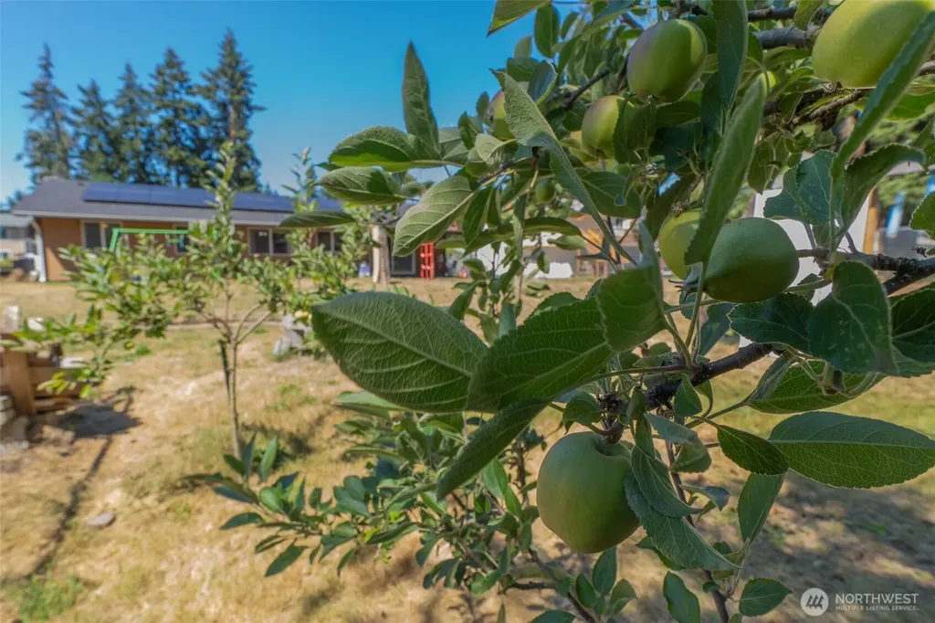 7609 13th Avenue NE Olympia WA 98516