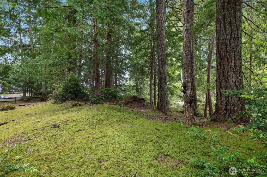 110 E Shannon Place Shelton WA 98584