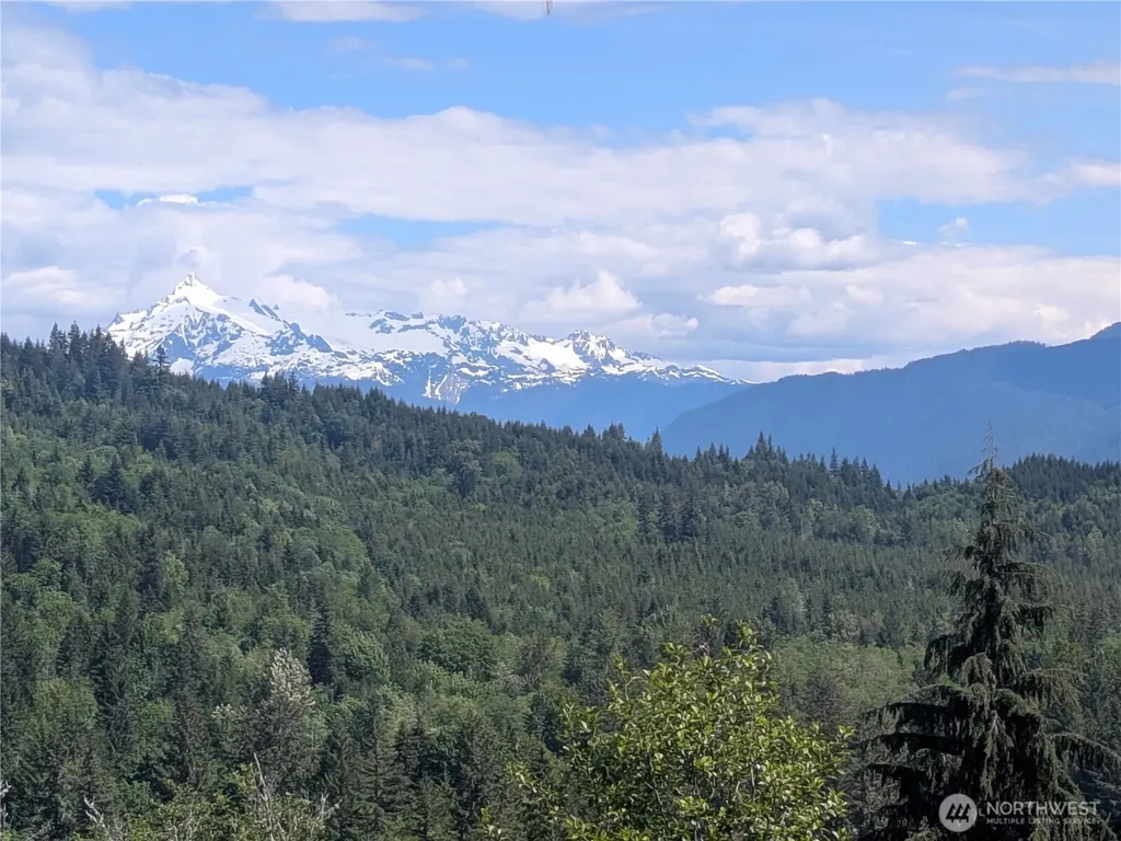 44957 Kachess Trail Concrete WA 98237