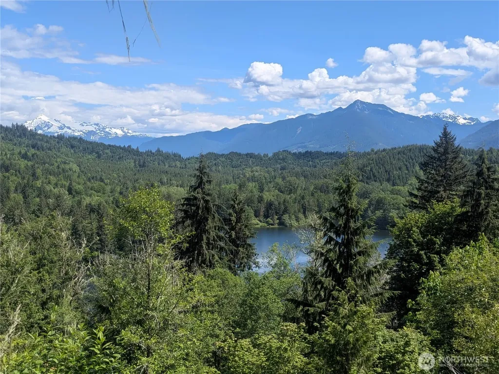 44957 Kachess Trail Concrete WA 98237